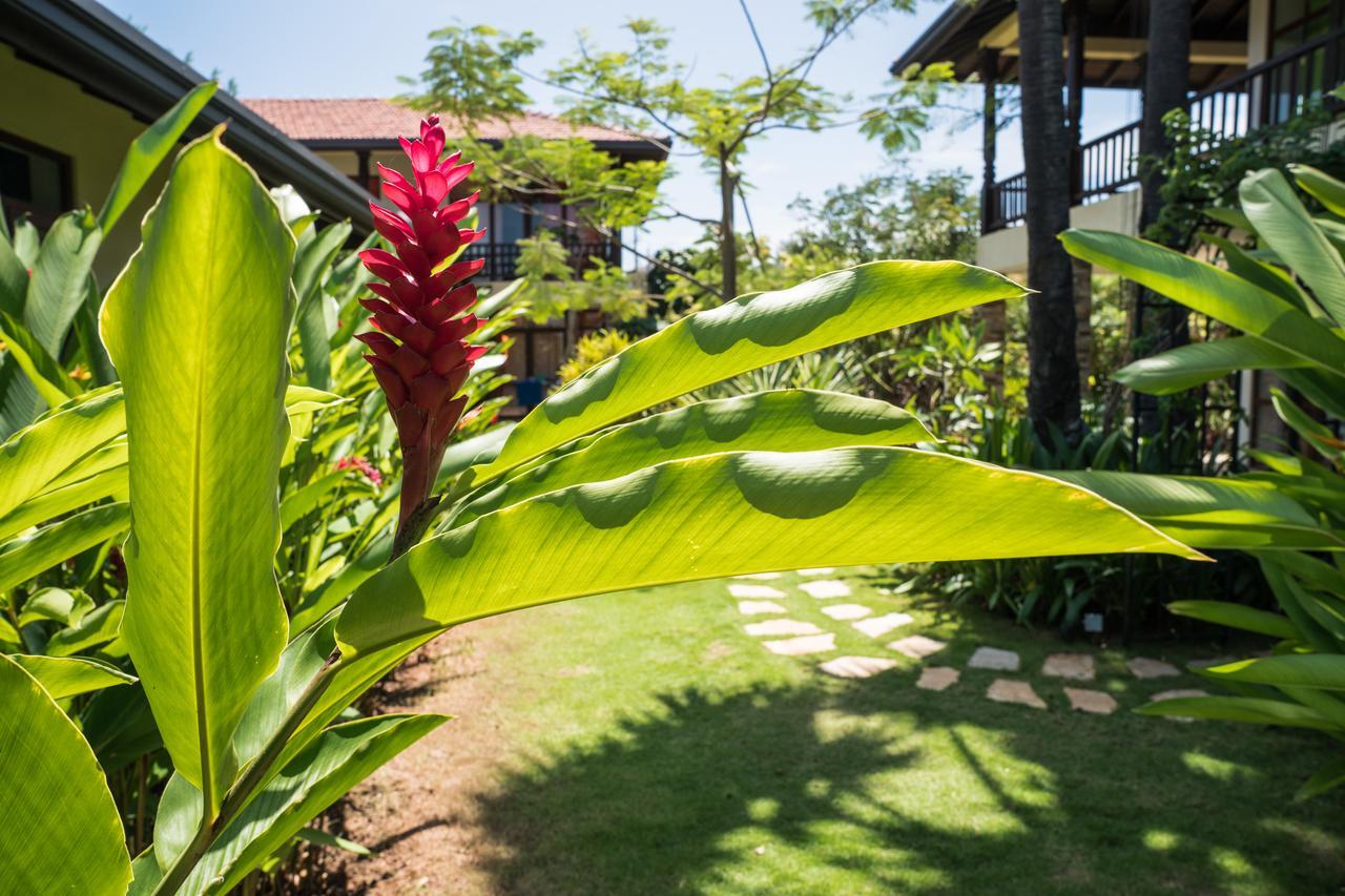 Hotel Dream Garden Arugam Bay Exterior foto