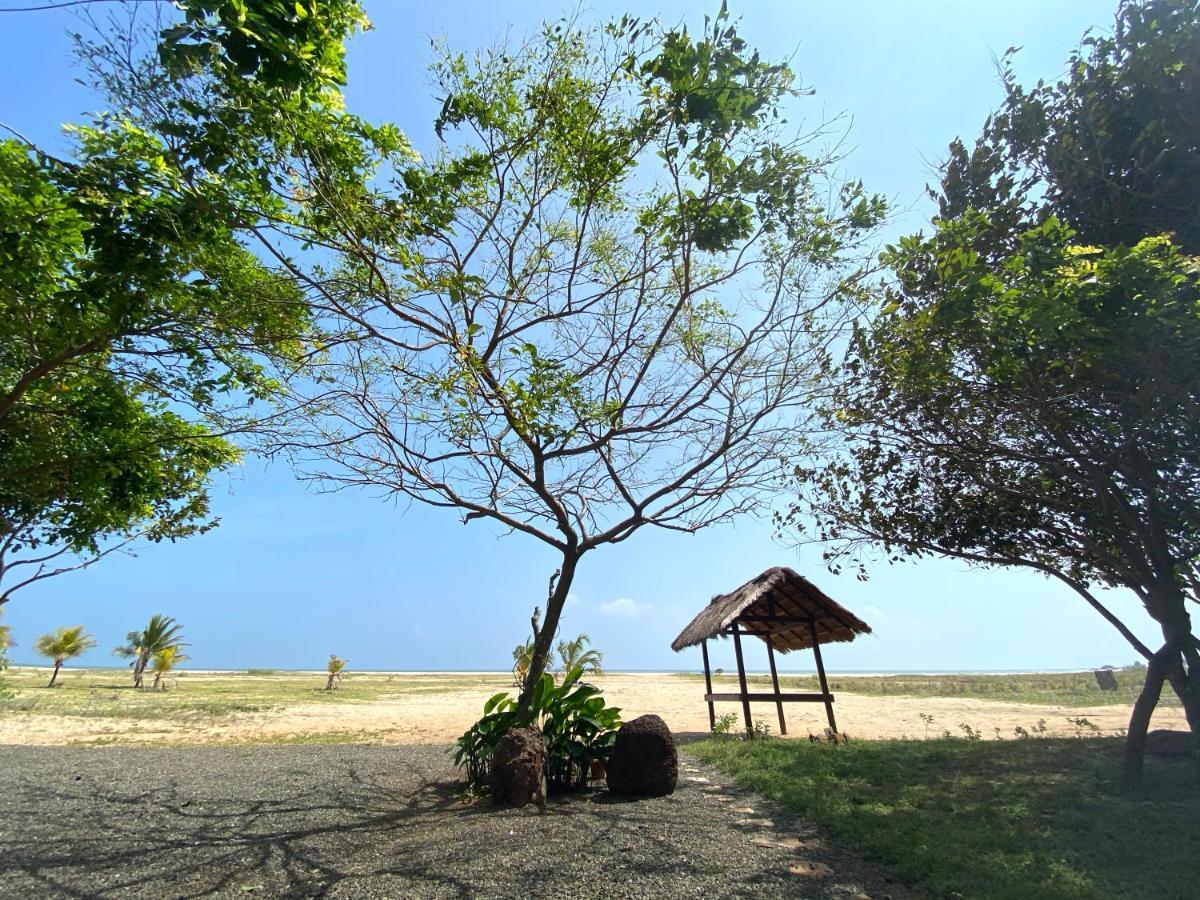 Hotel Dream Garden Arugam Bay Exterior foto